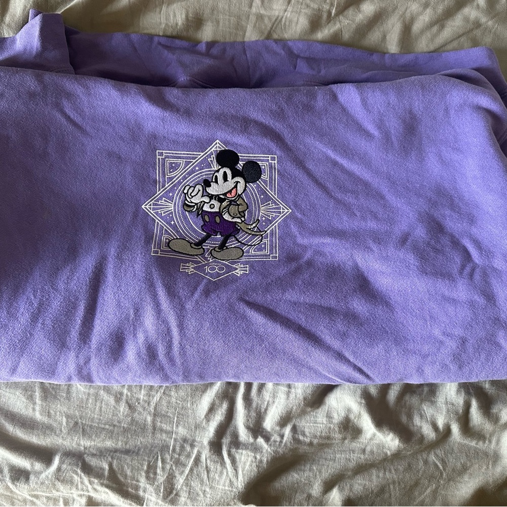 3XL Disney parks 100 hoodie brand new